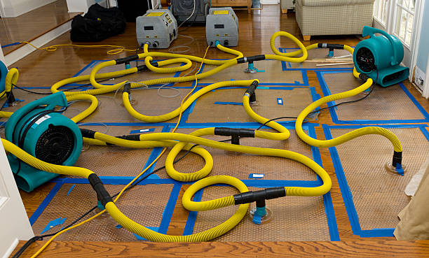 Professional Crawl Space Water Removal technician working in Lakeview, OH